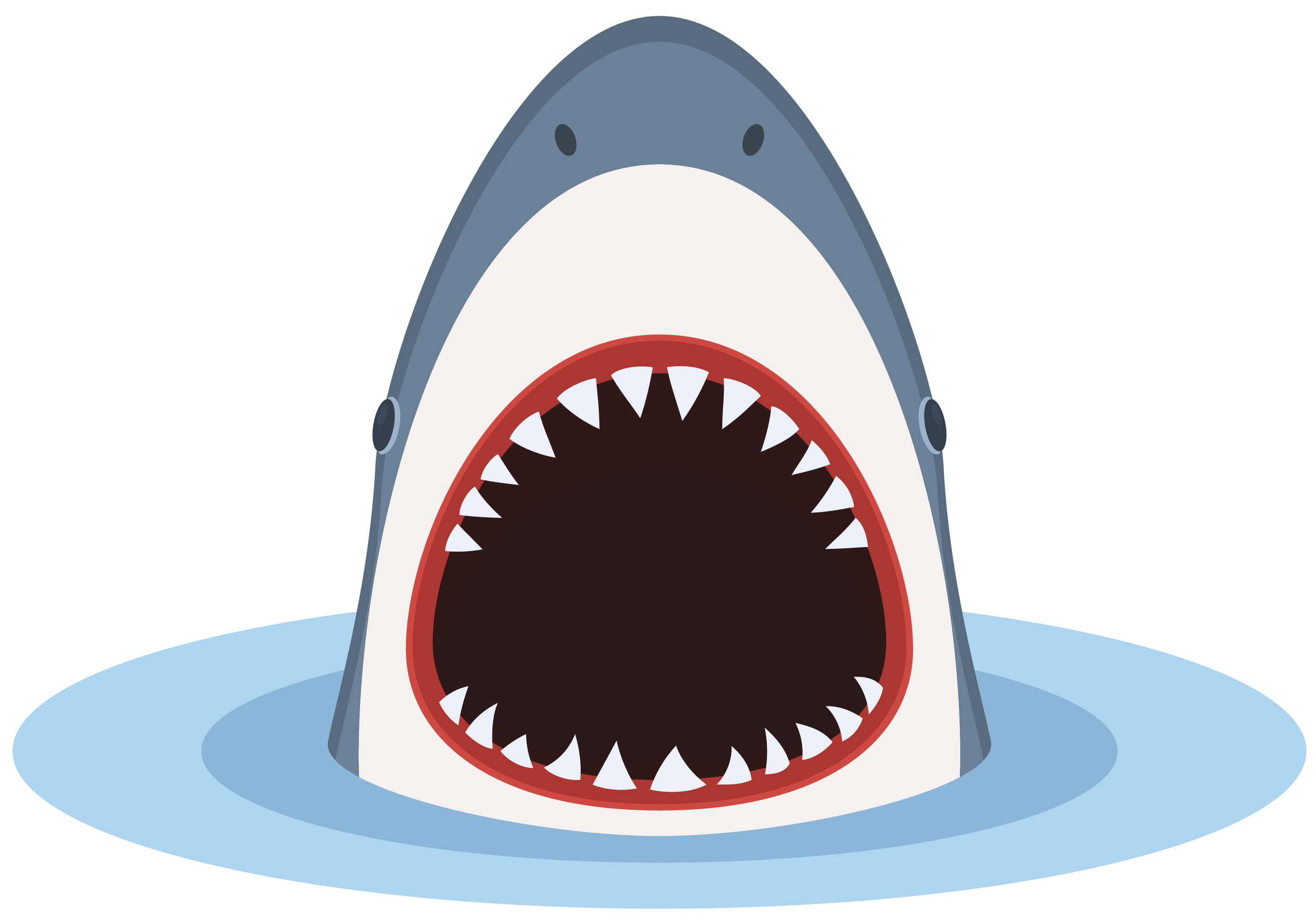 Shark illustration